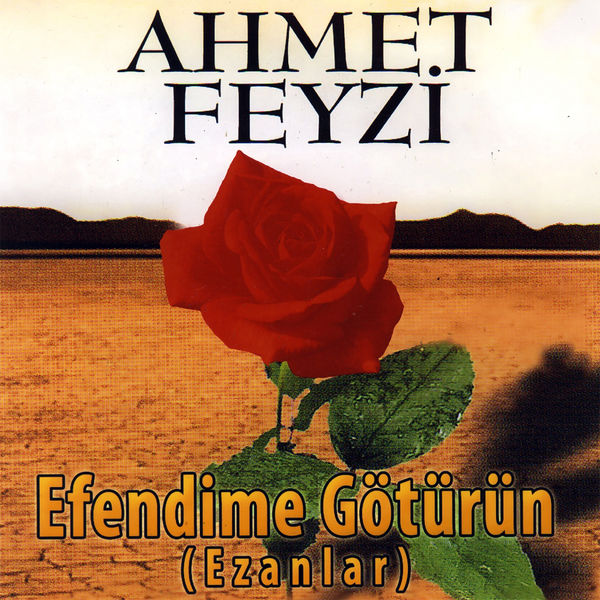 Ahmet Feyzi