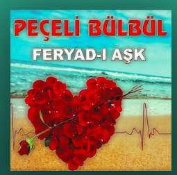 Feryad-ı Aşk (2014)
